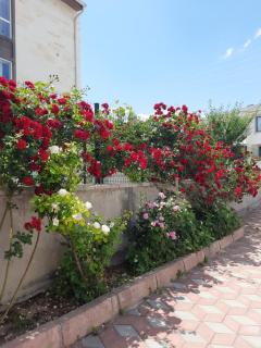 Z&B HOME - Nevşehir - 5