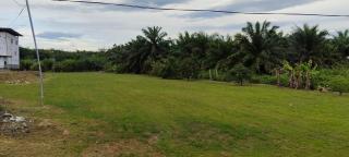 SP 6 HOMESTAY KURANJI KOTA MARUDU, SABAH, Malaysia - - 4