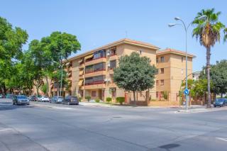 Habitación cerca Plaza Del Caballo - Jerez de la Frontera - 1
