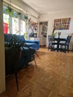 Attica with a view, tranquility and plants centrally located - Basilea - 6