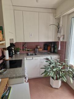 Attica with a view, tranquility and plants centrally located - Basilea - 3