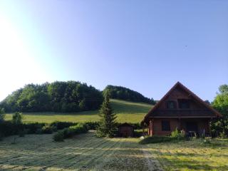 House Snowdrop, Woodden House in the Mountains - Begovo Razdolje - 0