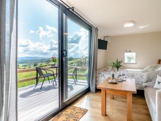 1 Bed in Brecon 92245 - Lower Chapel - 3