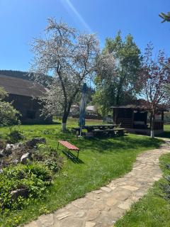 Casa Rareş Suceviţa - 5