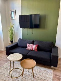 Ficus Roanne centre-ville - Clim & Parking - Roanne - 8