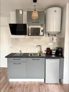 Ficus Roanne centre-ville - Clim & Parking - Roanne - 5