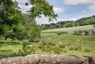 Birch House Studio - Cullompton - 6