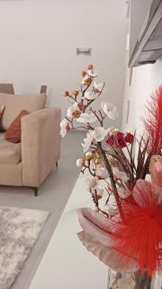 Résidence Saphyr - 1