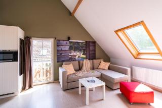 Lozer Lodge Vakantiewoning - Kruisem - 4