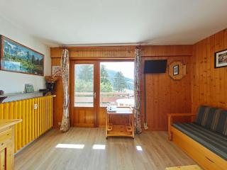 Studio fonctionnel 4 pers avec balcon sud, parking, animaux admis - FR-1-241-65 - Le Grand-Bornand - 0