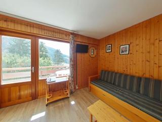 Studio fonctionnel 4 pers avec balcon sud, parking, animaux admis - FR-1-241-65 - Le Grand-Bornand - 8