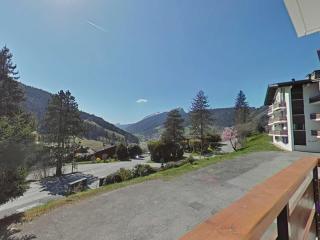Studio fonctionnel 4 pers avec balcon sud, parking, animaux admis - FR-1-241-65 - Le Grand-Bornand - 1