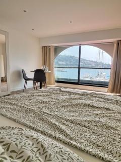 1st line sea view apartment - Villefranche-sur-Mer - 0