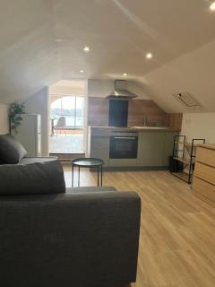 1st line sea view apartment - Villefranche-sur-Mer - 2