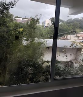 Prédio no bairro Rio Branco - 6