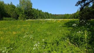 Bell-tent Noord - Lappeenranta - 3