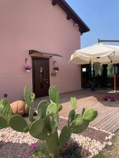 Agriturismo La Rondinella - Dozza - 8