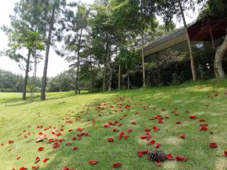 FLAMINGOS Villa Happy- view Hồ- bể bơi riêng - Ngọc Quang - 0