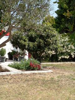 Kosaris Cottage - 1