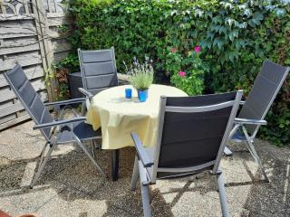 Strandhase - Langeoog - 0