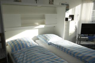 Strandhase - 6