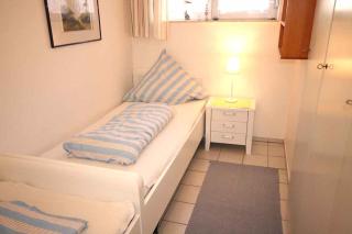 Strandhase - Langeoog - 2