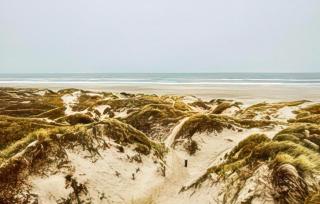 Ocean Front Home In Saltum With Sauna A12214 - Saltum - 9