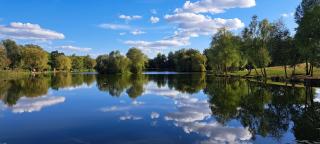Lakeview Petting Pod - Chelmsford - 7