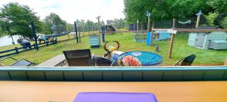 Lakeview Petting Pod - Chelmsford - 3