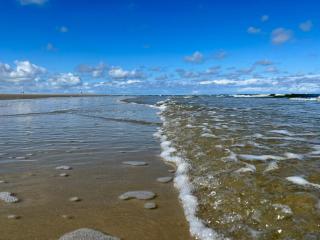 Pirola - Langeoog - 4