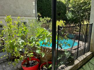 La Petite Cour - Périgueux - Périgueux - 8