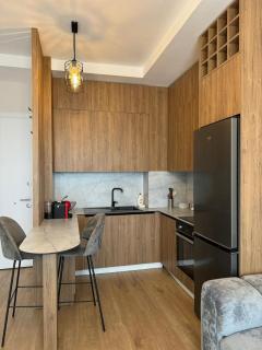 Tirana Center Boulevard Apartment - Tirana - 6