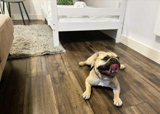 Pet-friendly 1BR Apt sleeps 4 in BMH Centre with Parking - 3