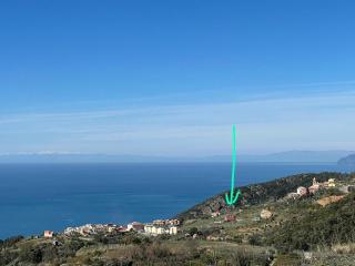 Vista e Verde - 9