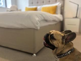 Five Ways pet-friendly 1Bed with parking, Monthly Stays Welcome - Birmingham - 9