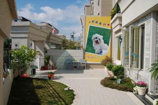 花蓮狗go快樂寵物民宿 - Città di Hualien - 7