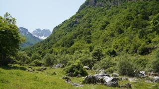 Motina River Guesthouse - Tropojë - 8