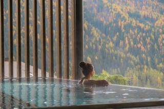 Mountain Residence Montana - Santa Maddalena in Casies - 0