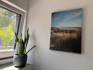 Gemütliche 1-Zimmer Gästewohnung - Pronstorf - 2