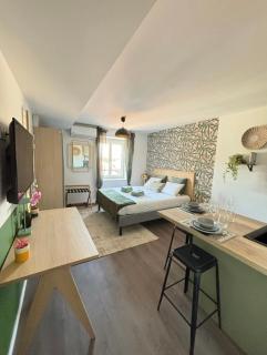 Hortensia Roanne centre-ville - Parking & Clim - Roanne - 5