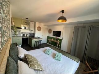 Hortensia Roanne centre-ville - Parking & Clim - Roanne - 3