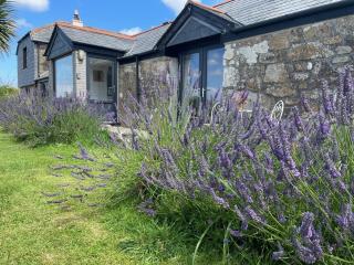 1 Bed in Newlyn 78517 - Newlyn - 8
