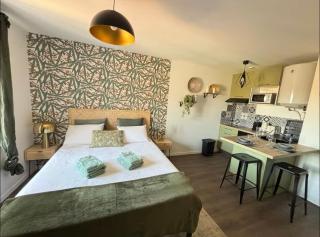 Hortensia Roanne centre-ville - Parking & Clim - Roanne - 1