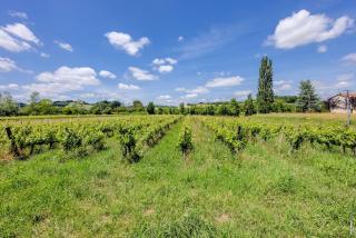 Le gîte de la Grappe - Terrasse - Gaillac - 5
