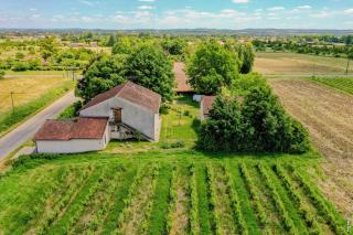 Le gîte de la Grappe - Terrasse - Gaillac - 3