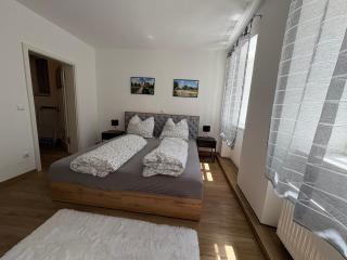 Apartmenthaus Alte Scheune Gunzenhausen - Gunzenhausen - 4