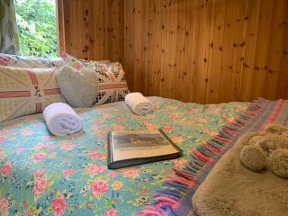 Willowdene shepherds hut - Oswestry - 6