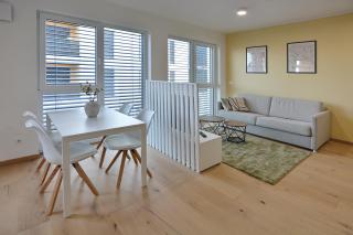 URBAN LODGE PREMIUM Suites - Pesnica pri Mariboru - 7