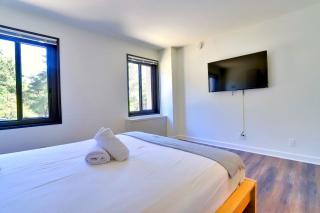 Bright & Modern Apt in Barton Park Area - Arlington - 0