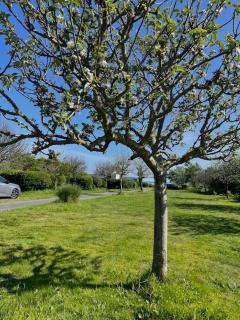 Camping les vergers de Squividan *** - Tréffiagat - 7